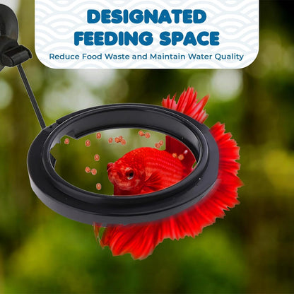 SunGrow fish feeding ring adjusting to water levels in a betta tank