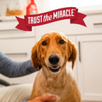 Nature's Miracle Advanced Stain and Odor Eliminator Dog for Severe Dog Messes - Image 9