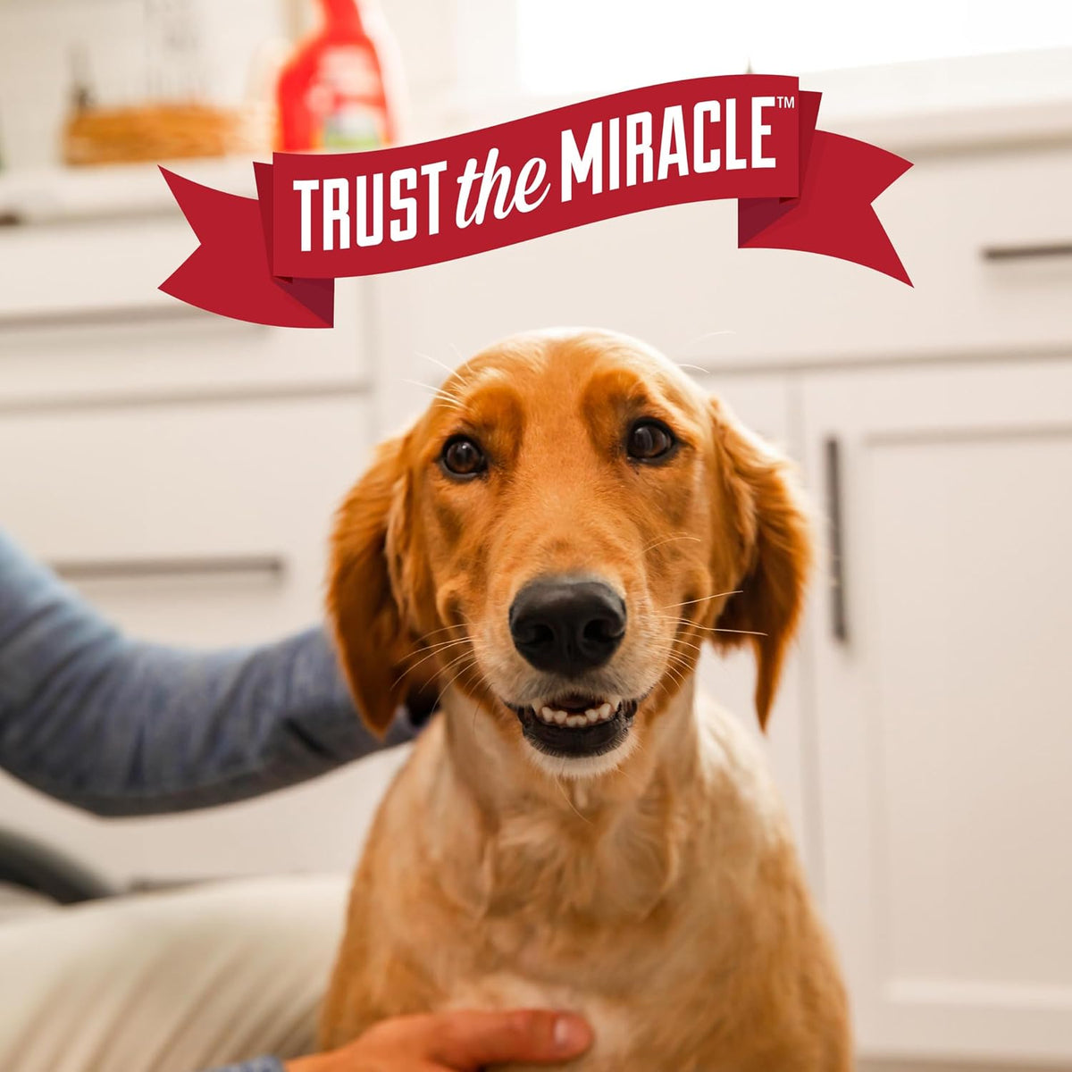 Nature's Miracle Advanced Stain and Odor Eliminator Dog for Severe Dog Messes - Image 9