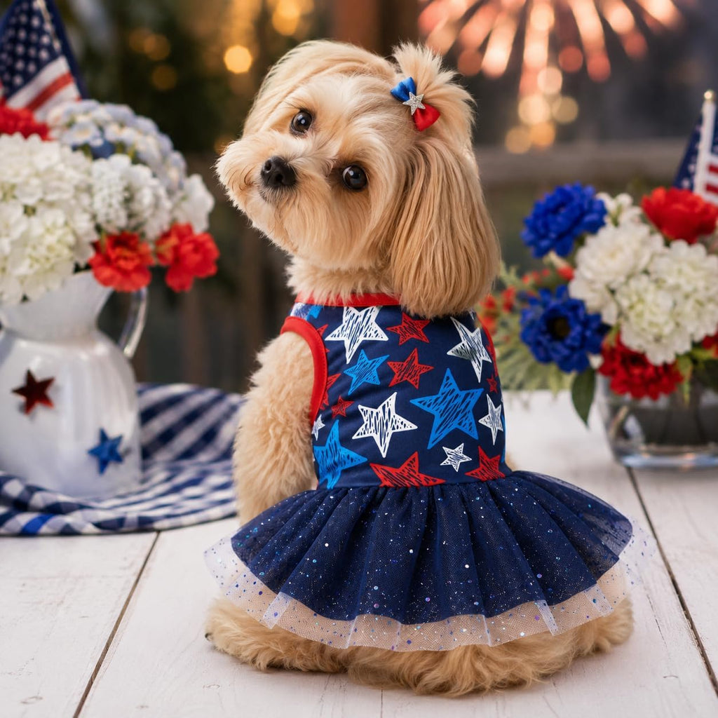 Miiemiu authentic imported small dog dress lying flat on a surface