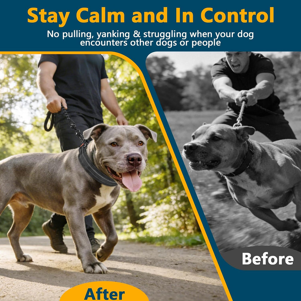 Reflective strip visibility feature on dog training collar