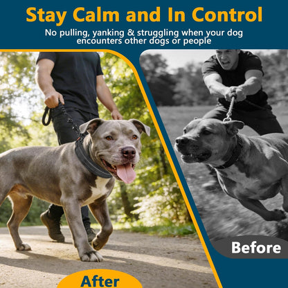 Reflective strip visibility feature on dog training collar