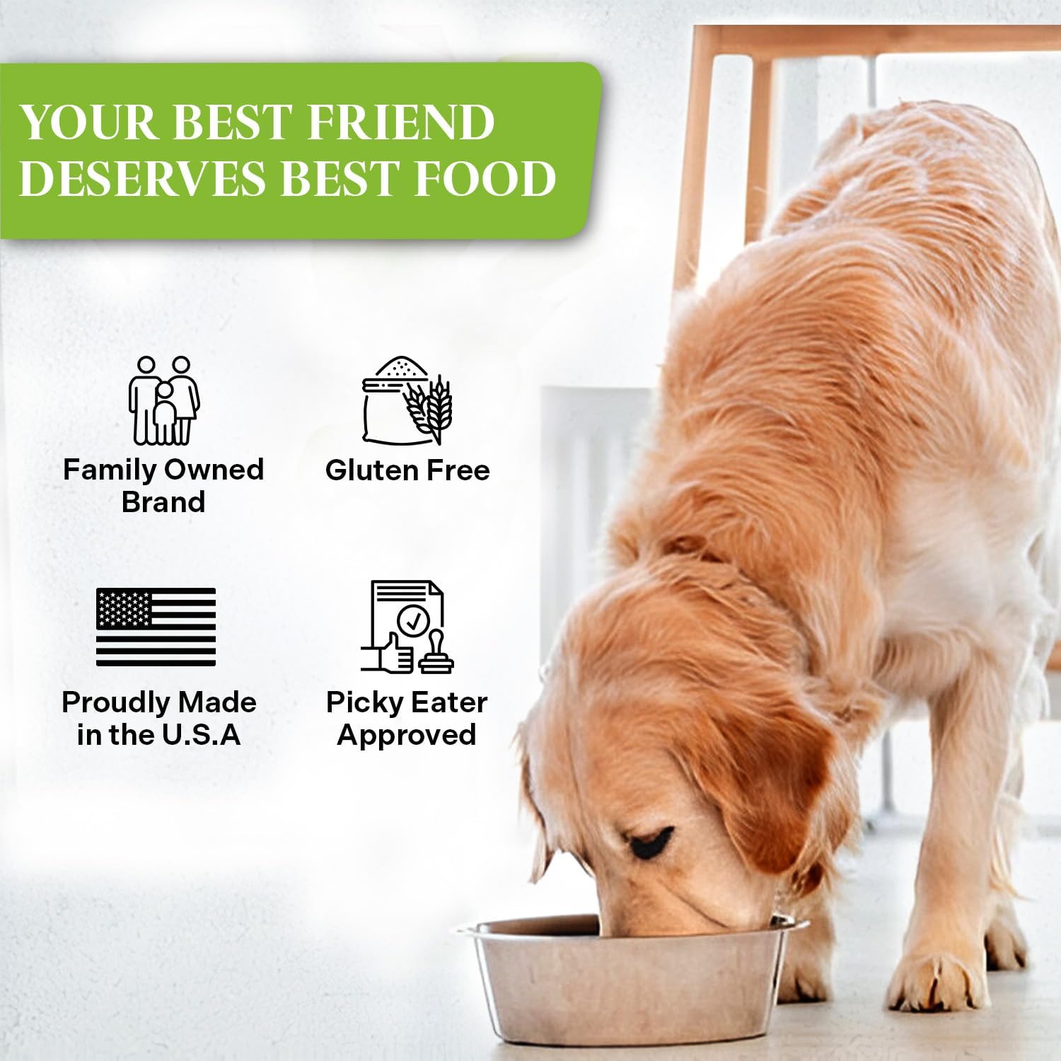 Healthy Dogma dog food being mixed with water in a bowl