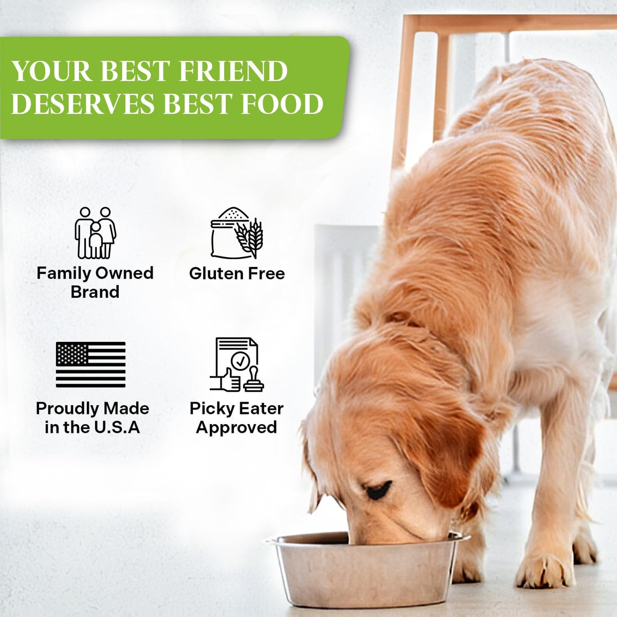 Healthy Dogma dog food being mixed with water in a bowl