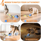 Kiwilove electronic cat ball with feather attachment showing motion