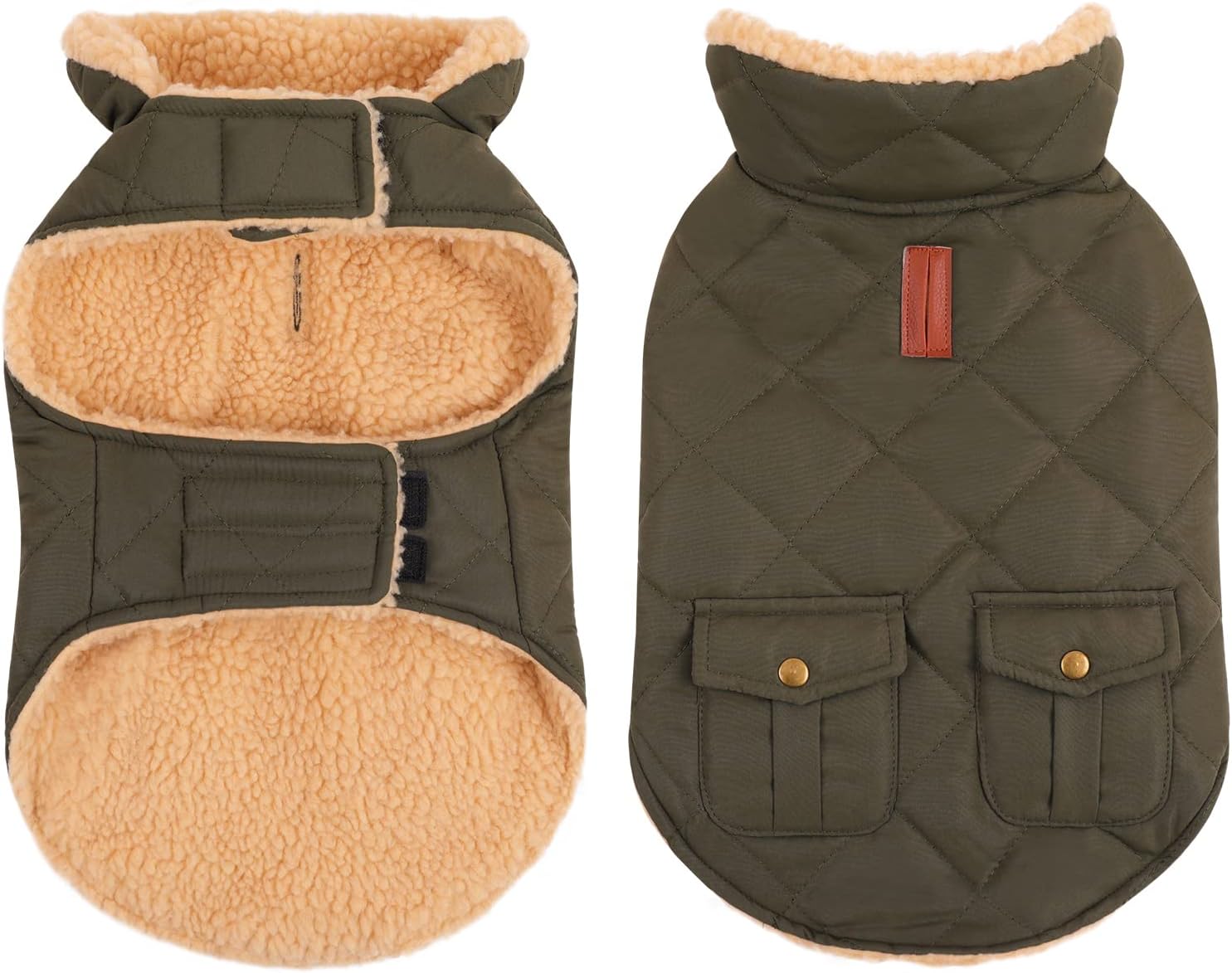 Queenmore cold weather dog coat in green front view