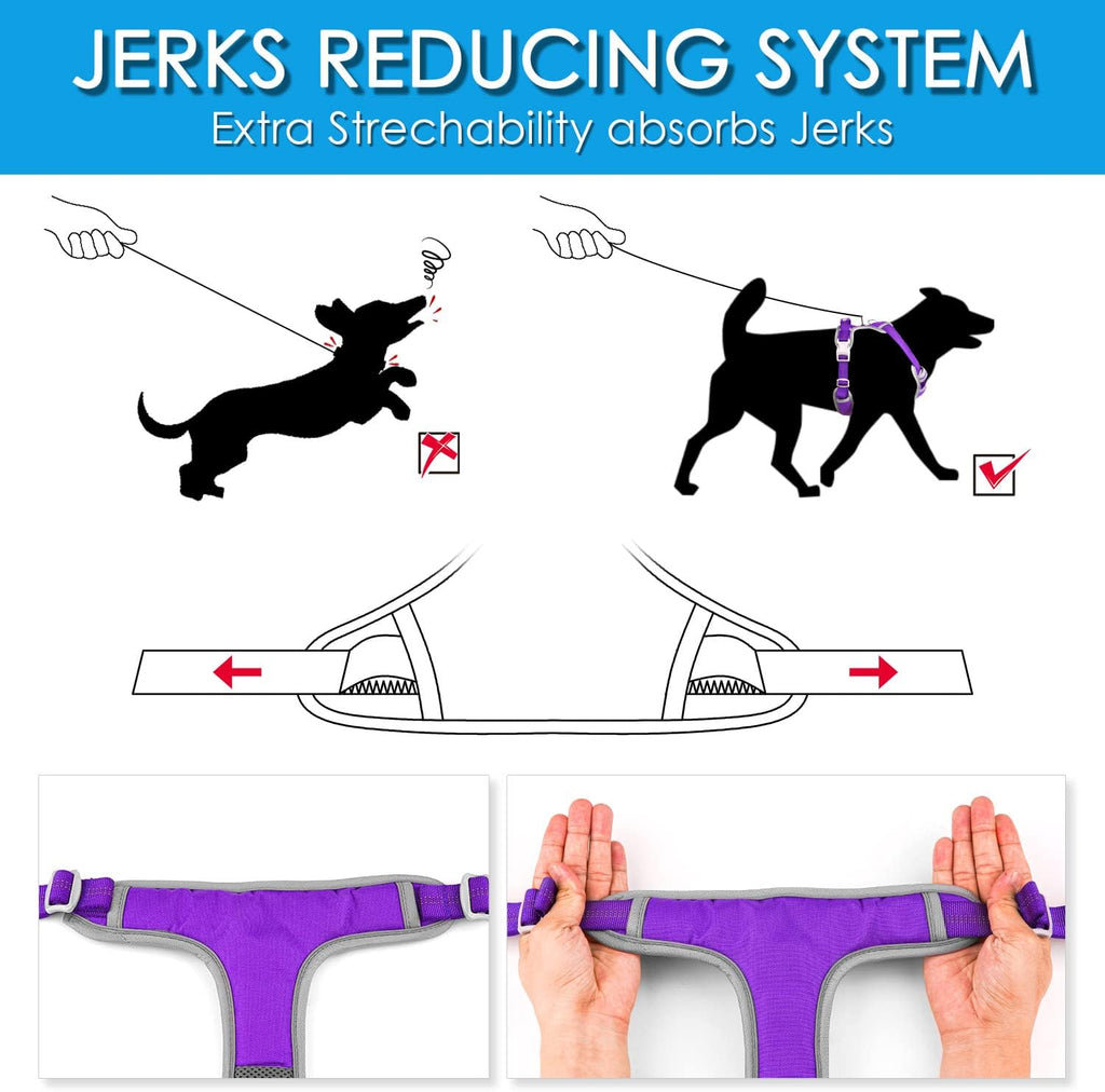 Dog wearing ThinkPet breathable sport vest harness
