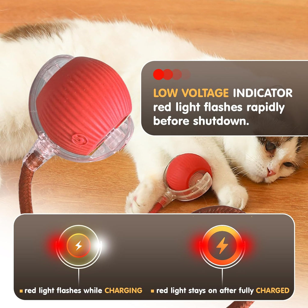 Durable ABS plastic and wave textured silicone interactive cat toy shell