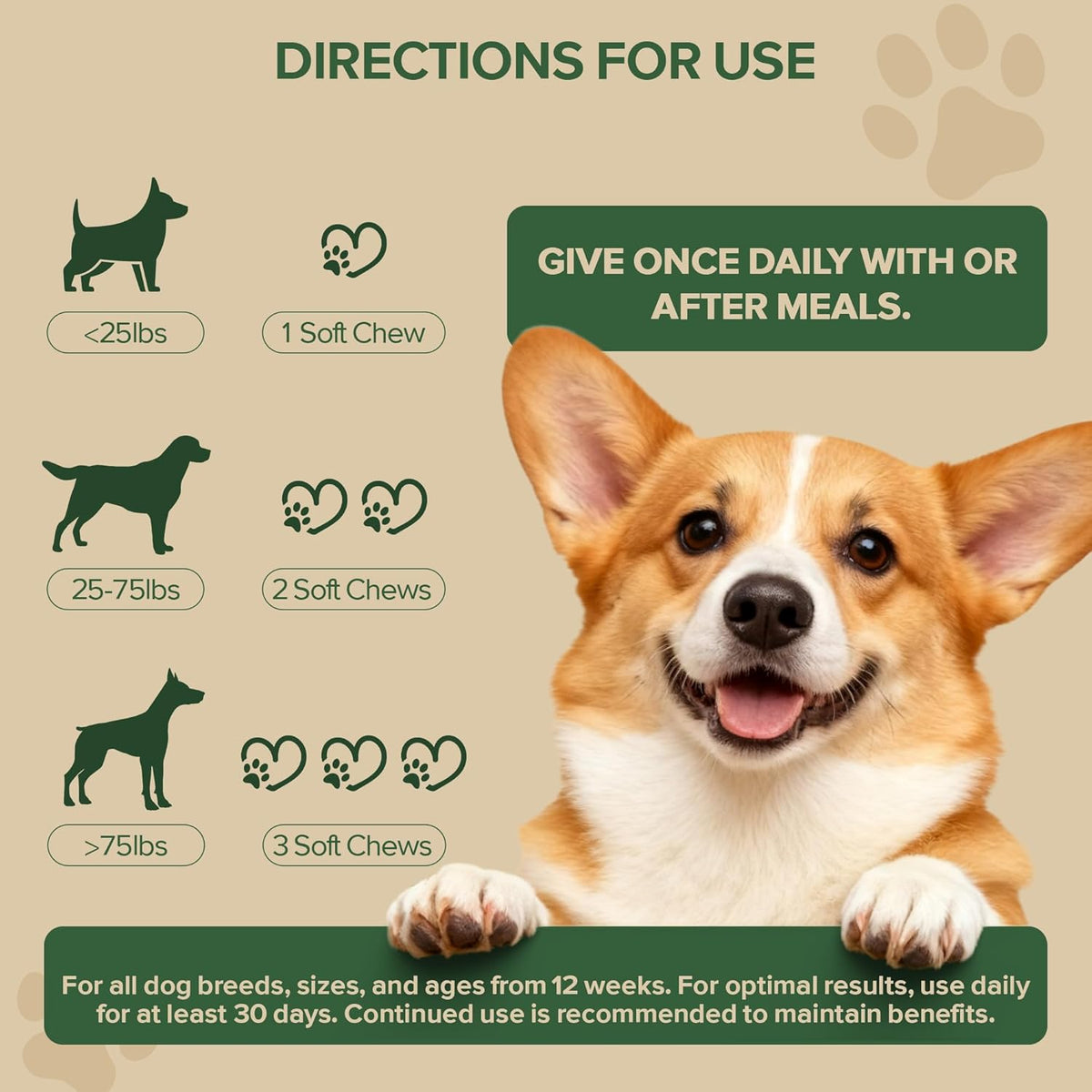 Back label of SHINEPAWS probiotics showing daily feeding dosage guidelines for small and large dogs.