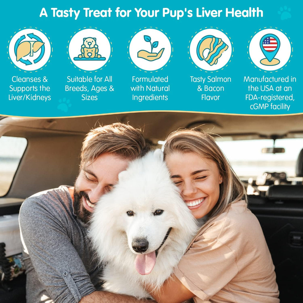 Educational graphic showing key ingredients in dog liver support