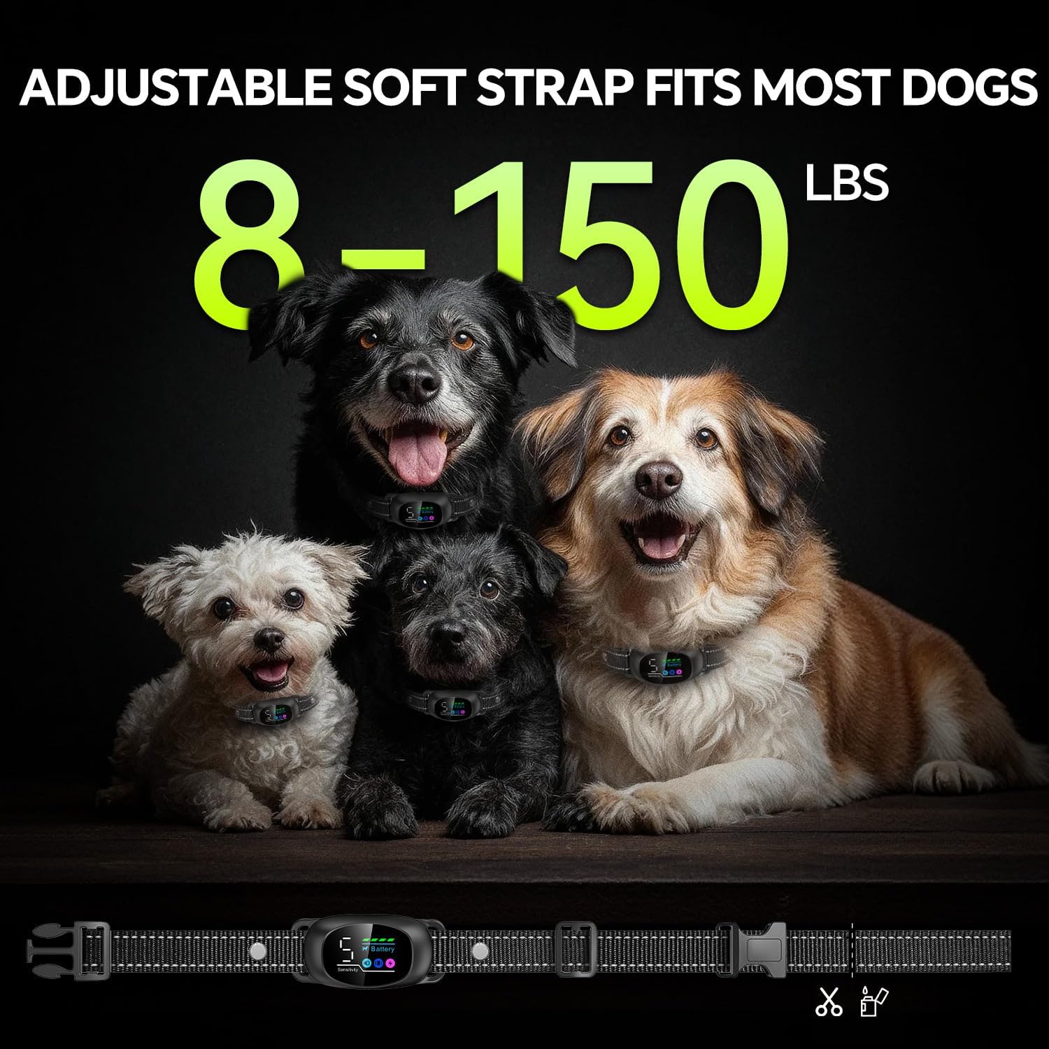 Packaging and included accessories for Reedog collar