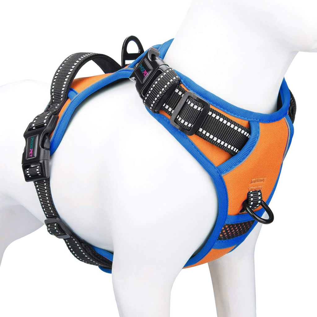 Dog wearing Phoepet reflective vest for safety