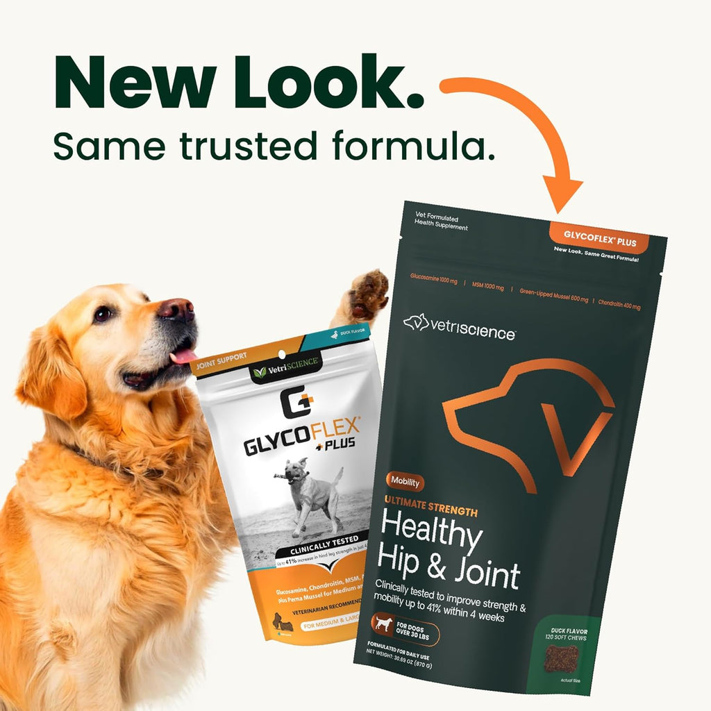 VetriScience GlycoFlex advanced dog joint supplement duck flavor bite sized chews