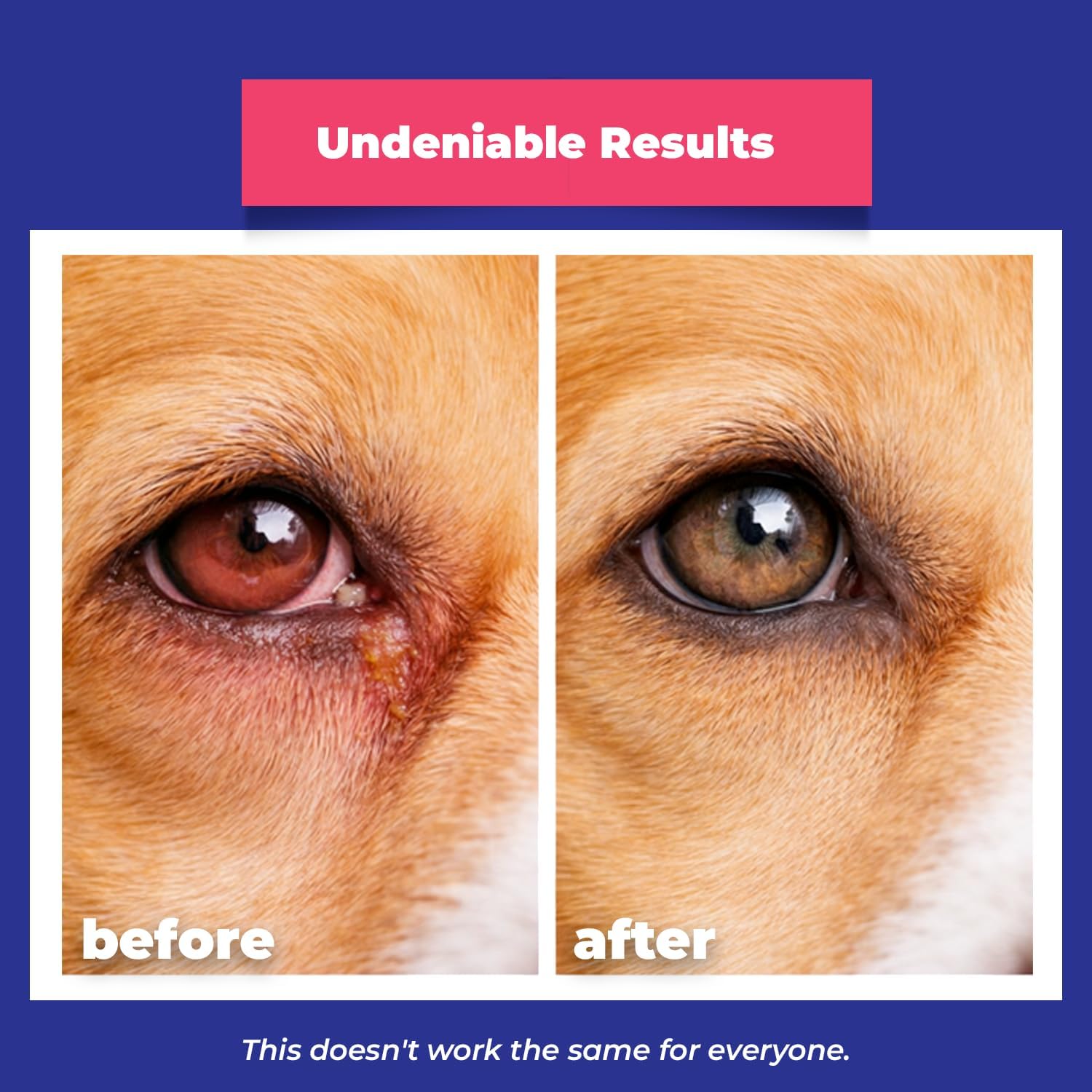 Sterile pet eye health cream for horses birds and livestock