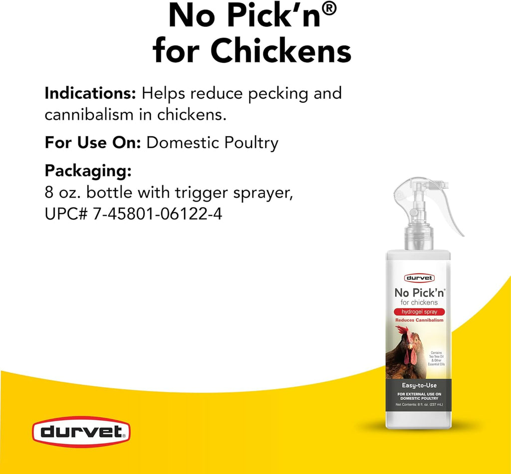 Poultry owner applying Durvet hydrogel spray to chicken feathers