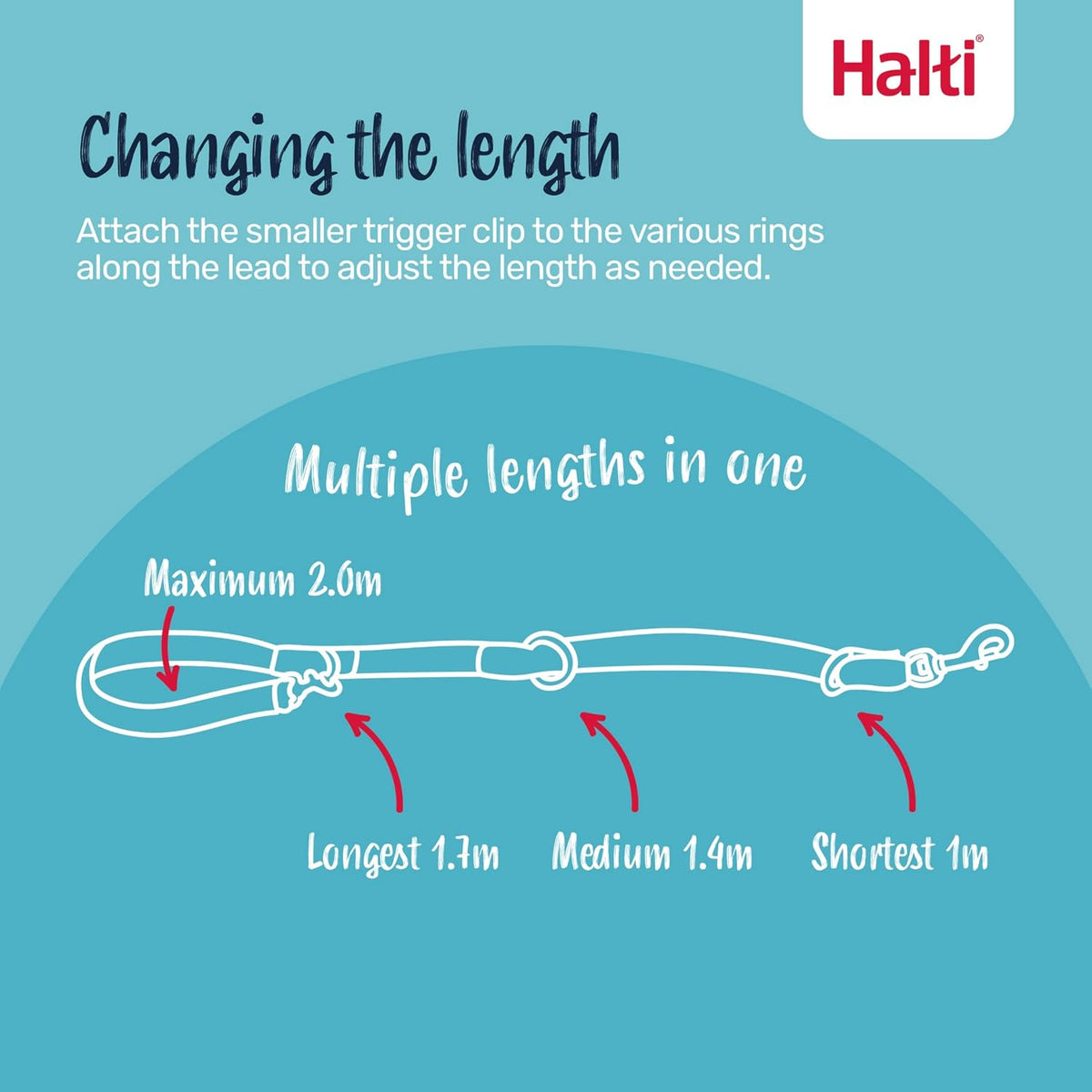 Close up of the dual trigger clips on the Halti anti pulling dog lead.