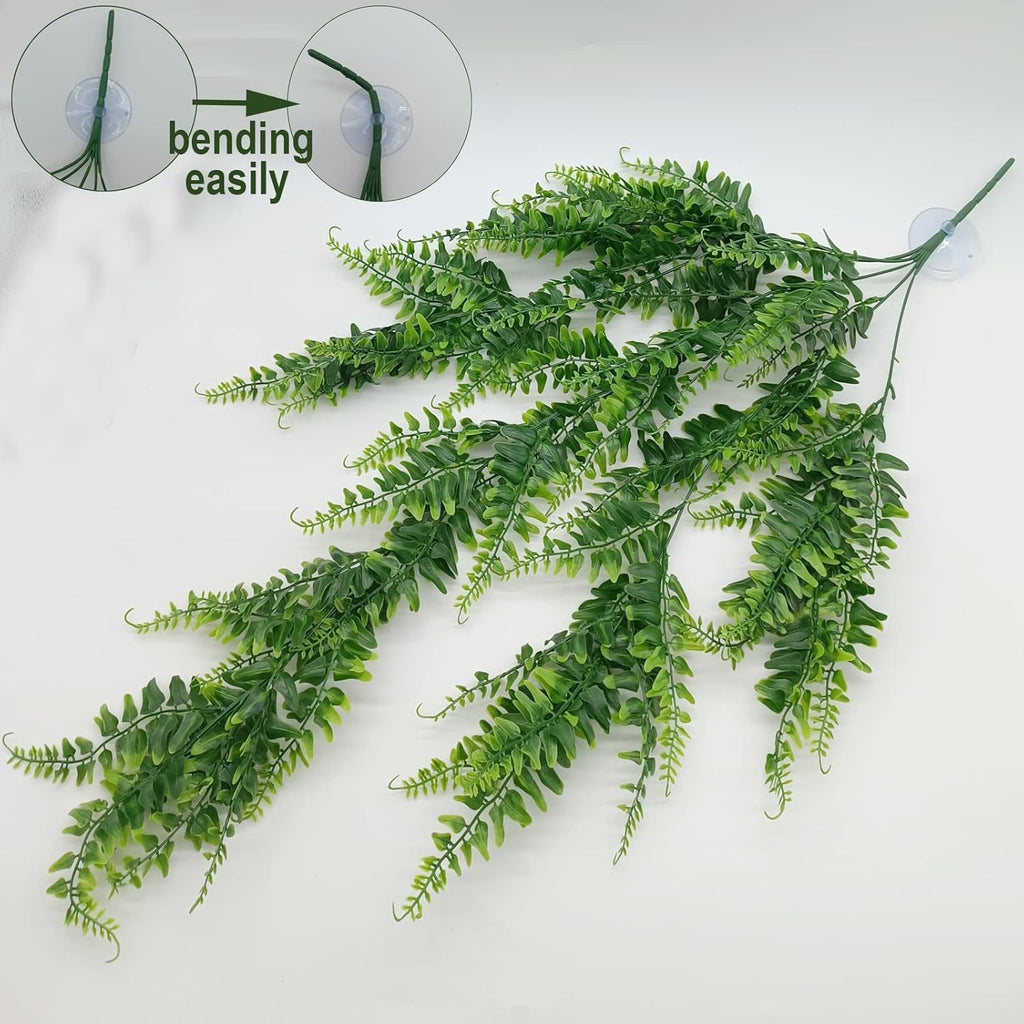 MEPHAN terrarium plants set layout featuring hanging ferns and ivy.