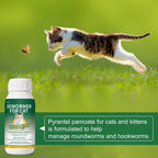 Bipinelyt roundworm and hookworm treatment for felines with oral dosing syringe included