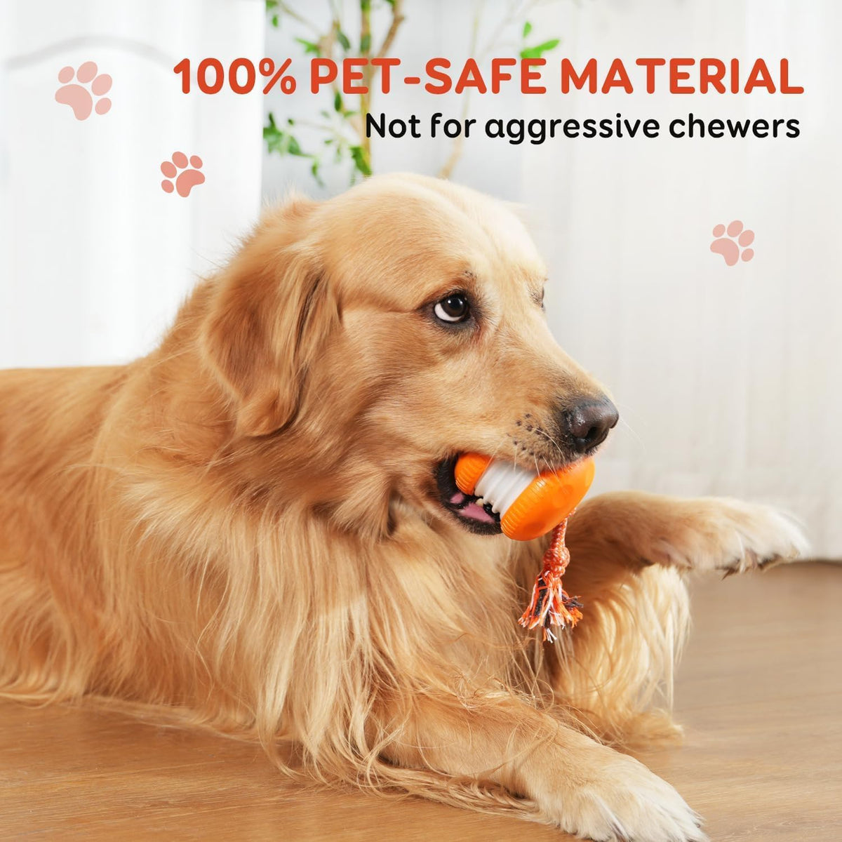 Orange motion activated rolling dog toy for indoor play