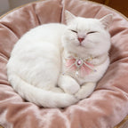 Close up view of the premium pink organza ribbon bow on a pet pearl collar.