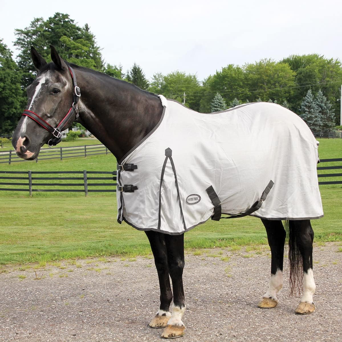 Country Pride Mesh Fly Sheet 84 inch front view on horse