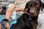 Vetericyn FoamCare pet spray bottle showing instant foam trigger mechanism
