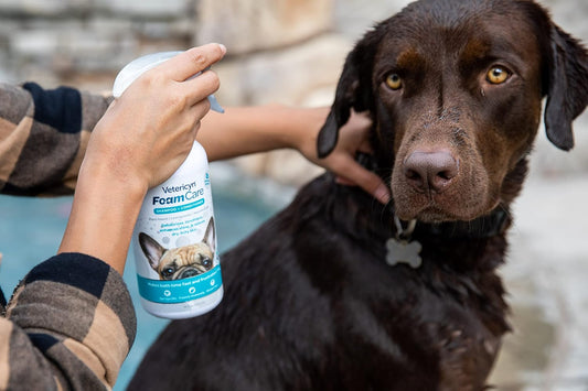 Vetericyn FoamCare pet spray bottle showing instant foam trigger mechanism