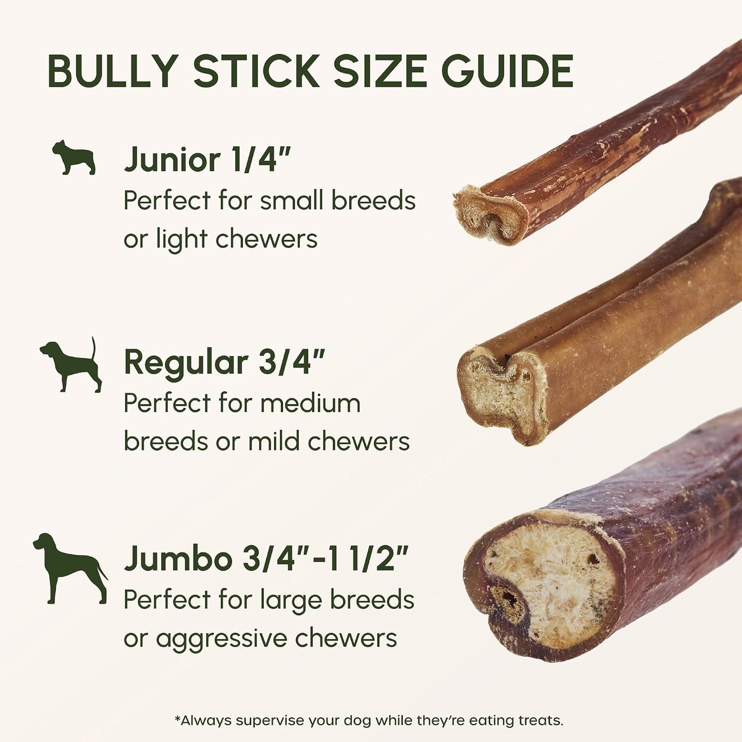 Close-up of a premium 6 inch single-ingredient beef pizzle stick highlighting its durable texture.