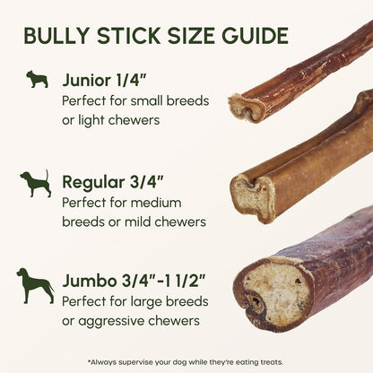 Close-up of a premium 6 inch single-ingredient beef pizzle stick highlighting its durable texture.