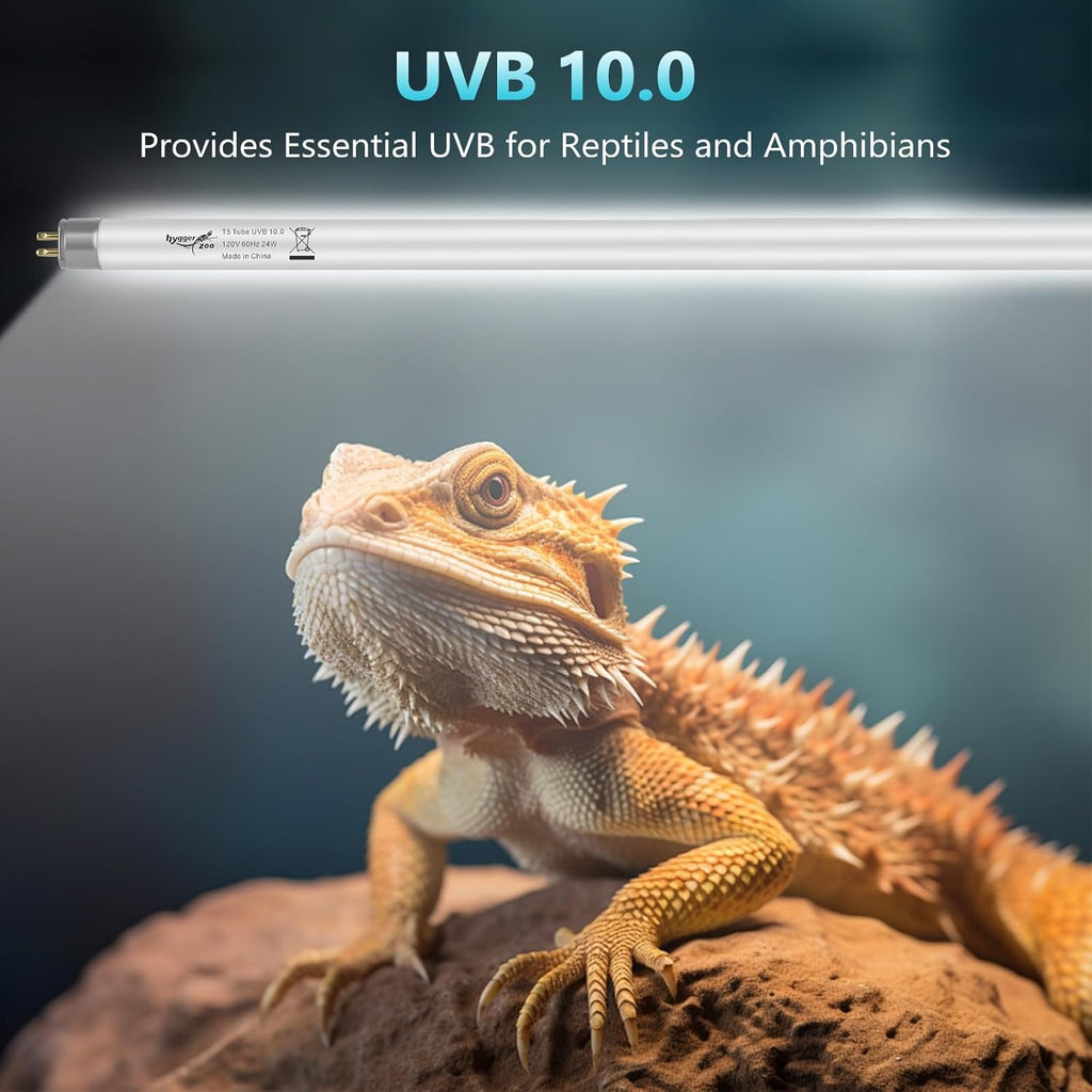 Hygger Zoo T5 UVB Reptile Light Desert UVA Lamp showing the clear twenty-two-inch glass body.