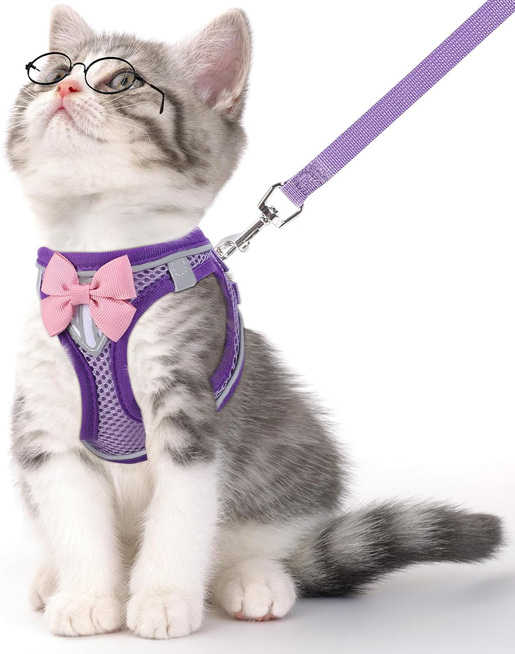 Cat Vest Harness and Leash Set for Walking Escape Proof, Adjustable Kitten Harness Breathable Mesh with Reflective Strips Harness for Kitty Puppy Bunny (Blue, XS) - Image 11