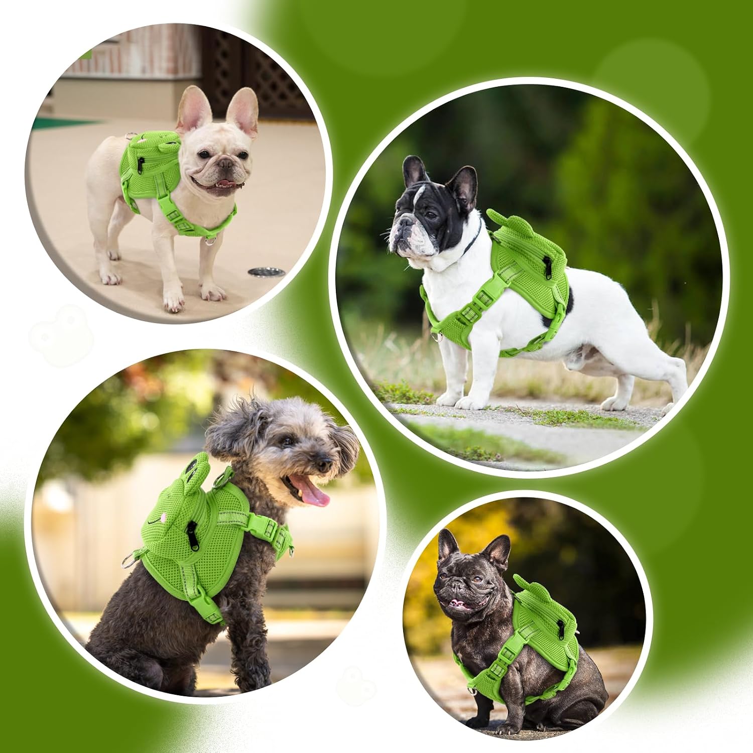 Size measurement guide showing chest circumference tracking for medium dogs