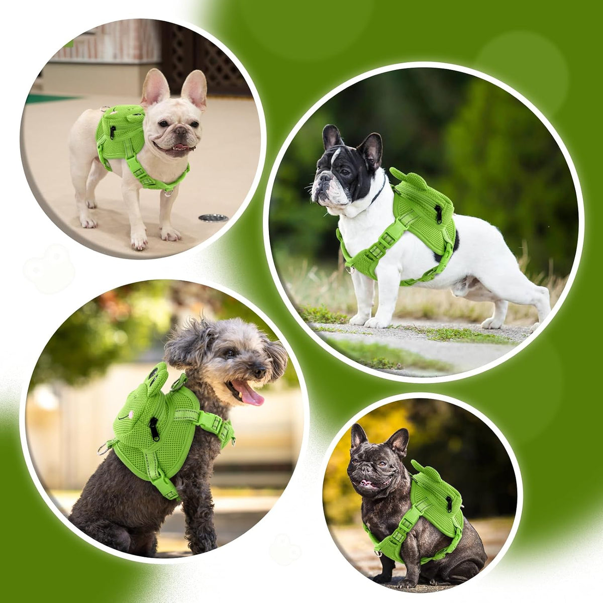 Size measurement guide showing chest circumference tracking for medium dogs