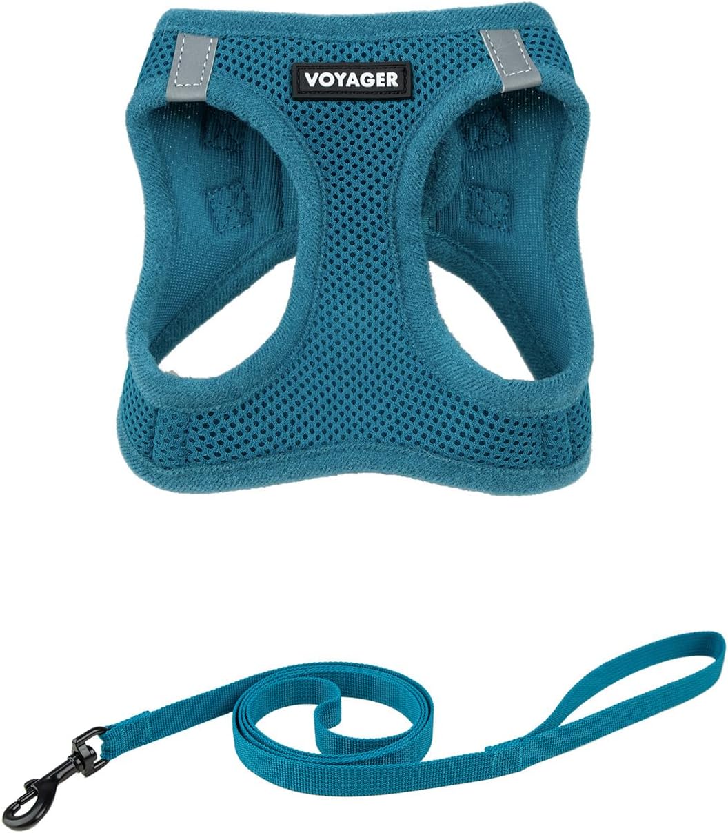 Comfortable and padded green mesh pet harness for daily walks