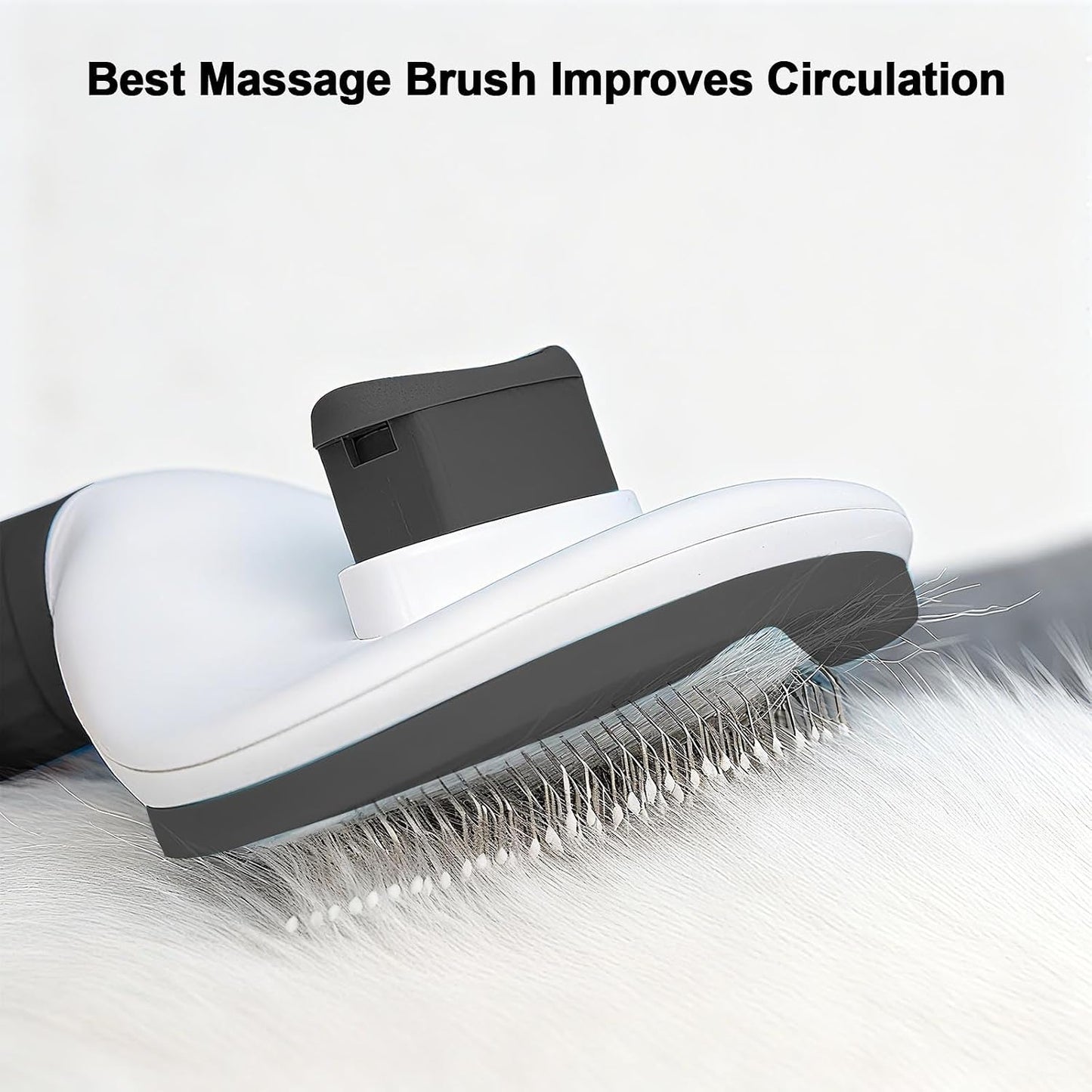 Slicker brush grooming short haired dog