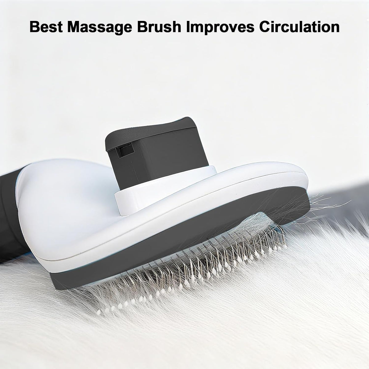 Slicker brush grooming short haired dog