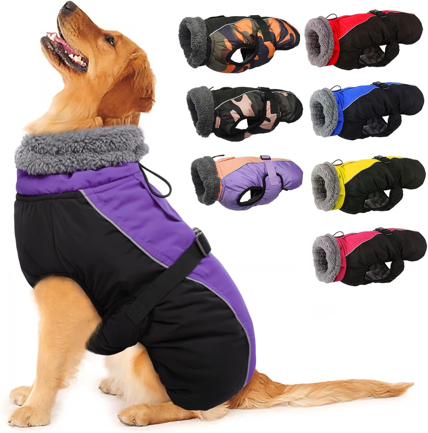 Small and large dogs wearing various sizes of Iecoii winter coat