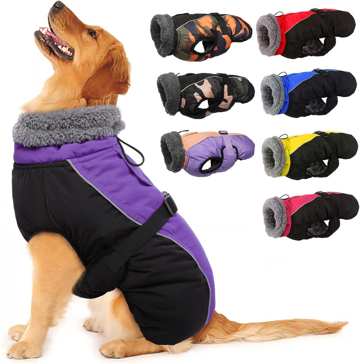 Small and large dogs wearing various sizes of Iecoii winter coat