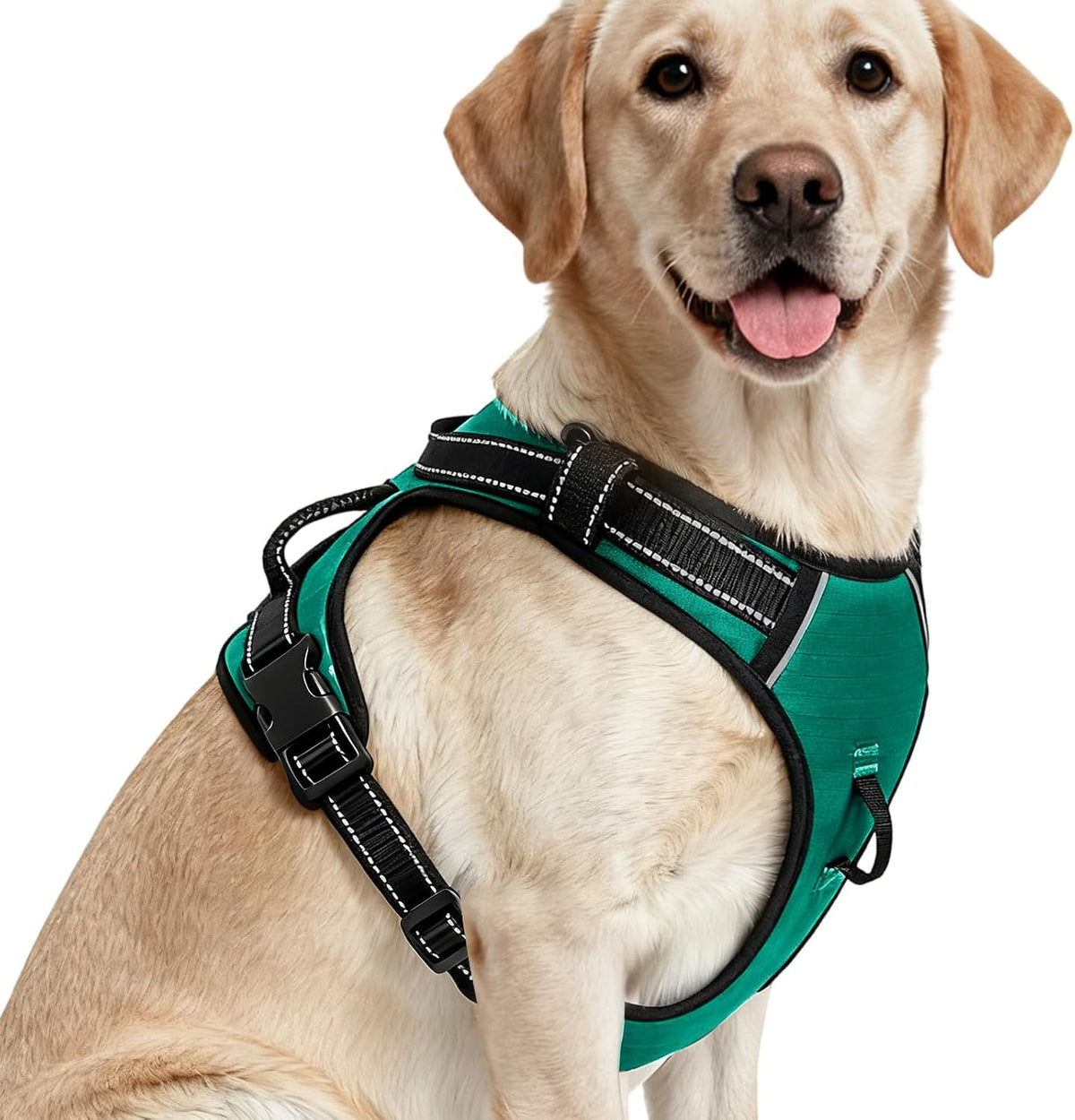 No Pull Dog Harness, No Chock Reflective Adjustable Soft Padded Pet Vest with Easy Control Handle, Easy Wearing with Stylish, Reinforced Knot, 2 Buckles - Image 15