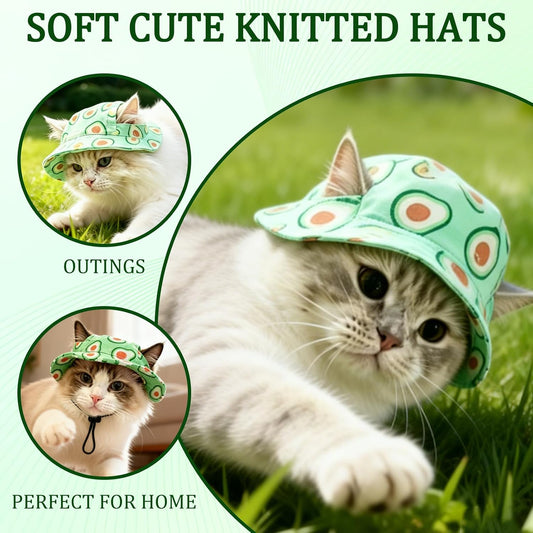 Sphynx cat wearing Qbleev avocado print hat