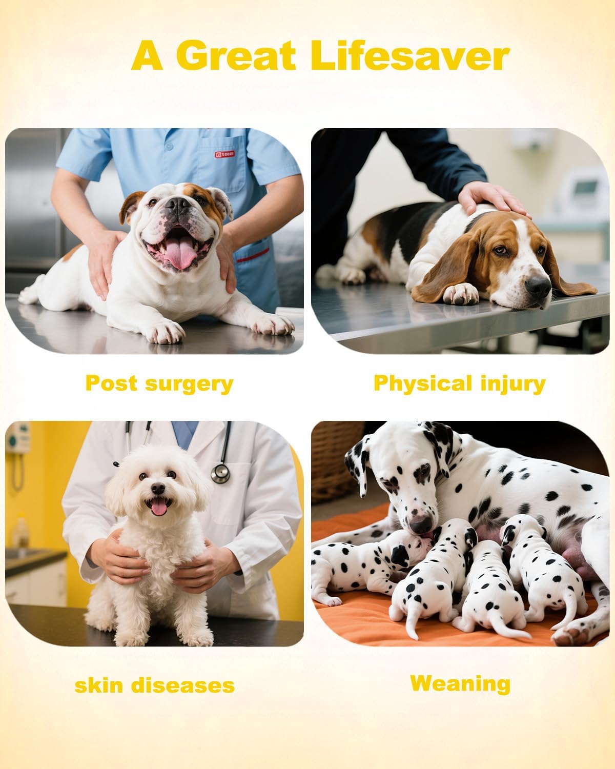 Side view of small dog wearing CuteBone post-operative recovery suit