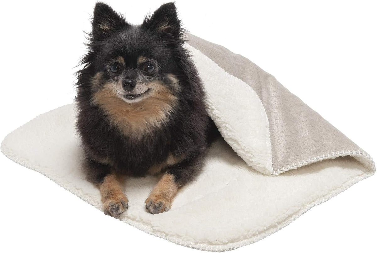 Thermal reflective core layer demonstration inside the pet blanket