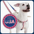 2 Hounds Design Freedom No Pull Dog Harness showing Swiss velvet lining for comfort