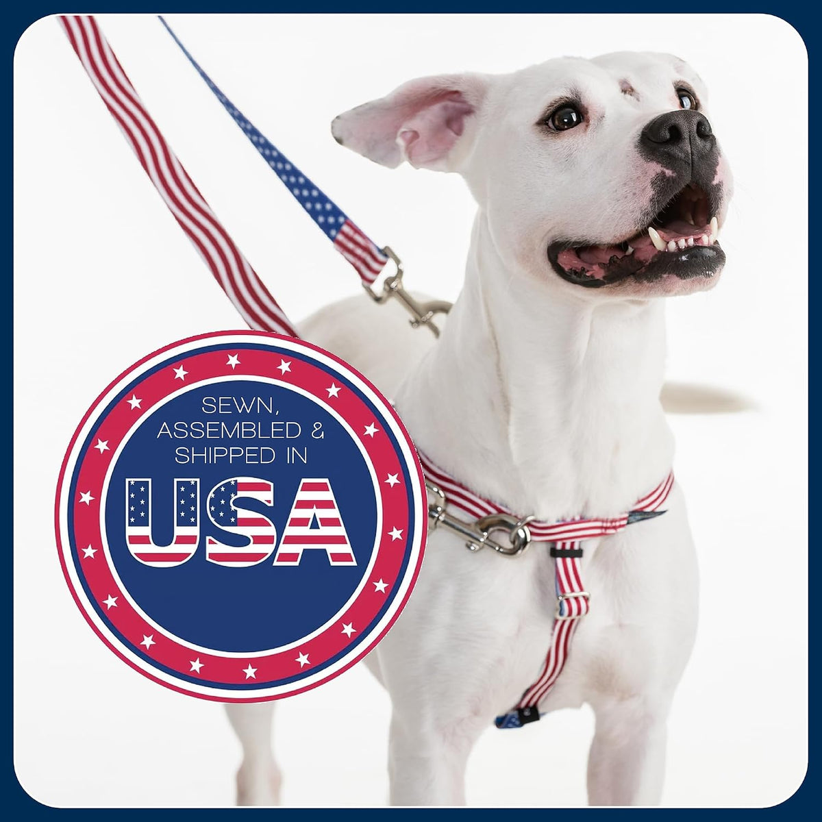 2 Hounds Design Freedom No Pull Dog Harness showing Swiss velvet lining for comfort