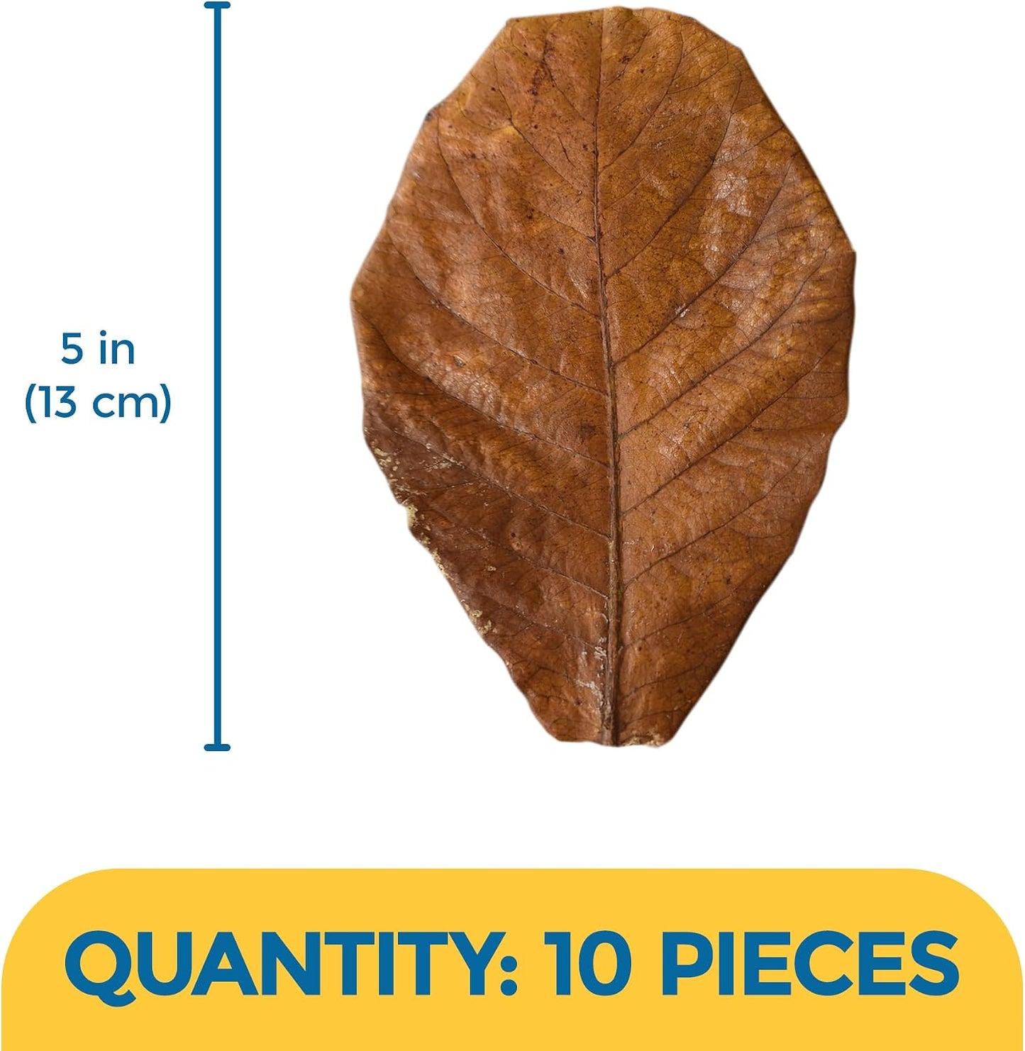 SunGrow 10 pack leaves packaging details and size reference