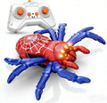 Little Learners Toys Wall Crawler Spider front view climbing a smooth indoor living room wall