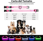 Adjustable PcEoTllar LED dog collar for night walking