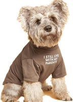 HipGirl khaki dog t-shirt front view