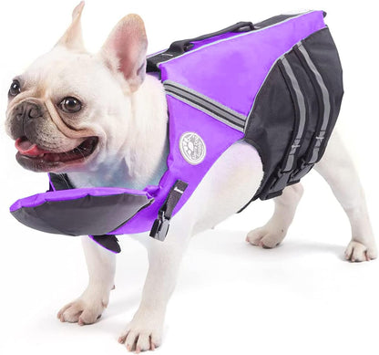 Petglad pug and corgi flotation jacket showcasing the secure buckle closures.