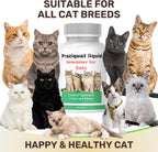 Authentic USA imported IVULTRA feline gut health liquid ingredients label